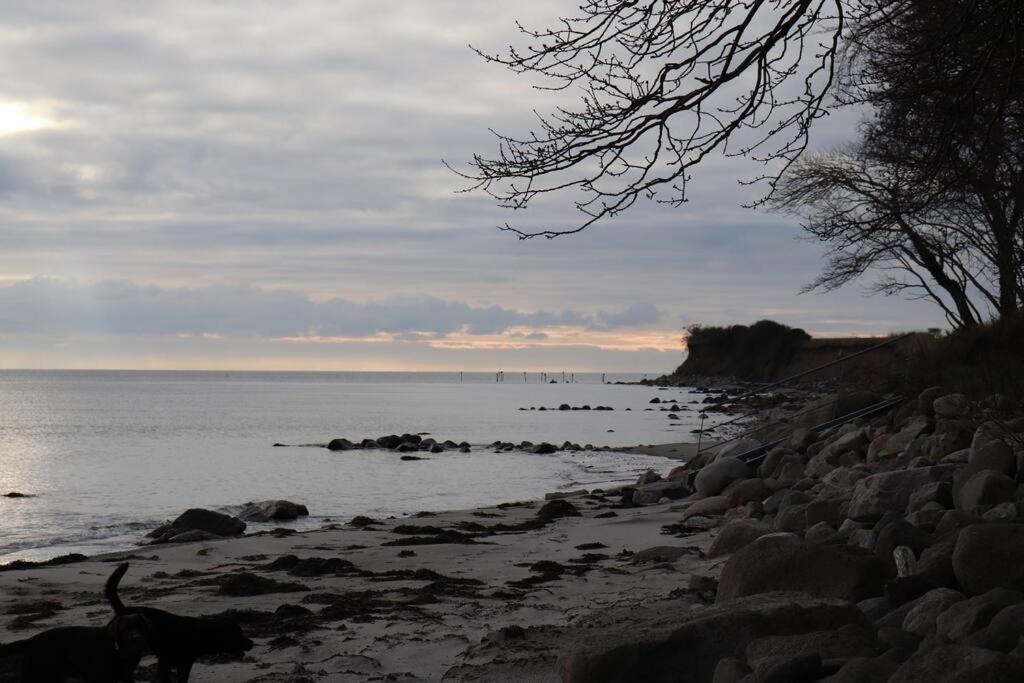 Ferienwohnung Fleckeby Schlei Fjord Light Bagian luar foto